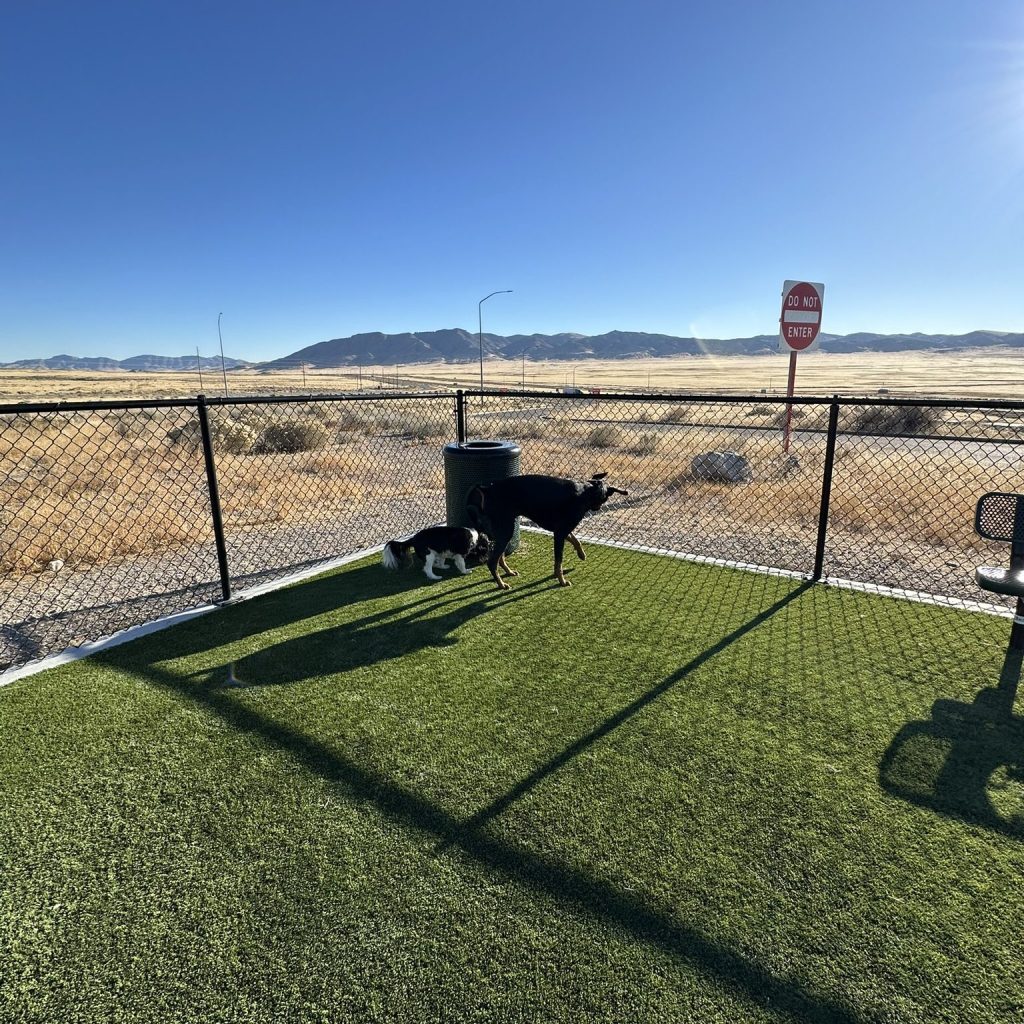 Doberman Detours: Michigan to&nbsp;Modesto